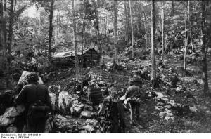 Jugoslawien, Polizeieinsatz, Soldaten im Wald